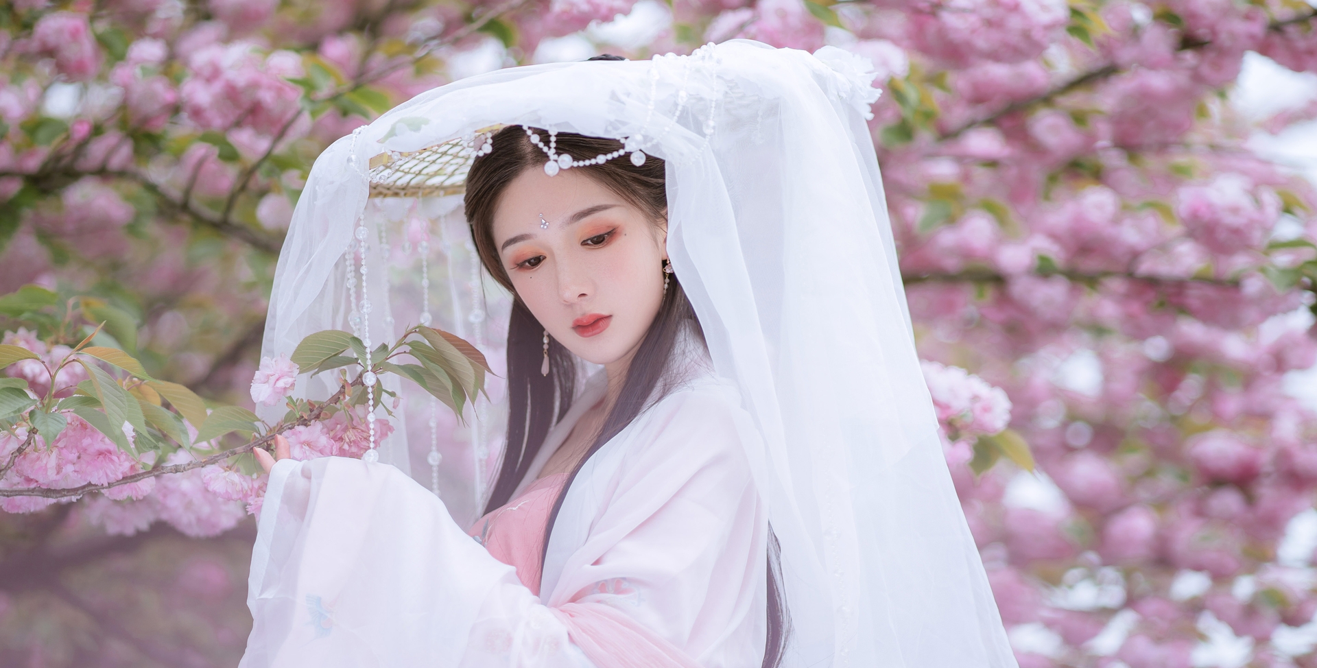 花海神 落樱风飞汉服摄影 唯美清新美少女图 唯美气质妹子古风汉服文化美女照